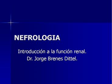 NEFROLOGIA
