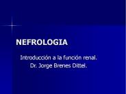 NEFROLOGIA