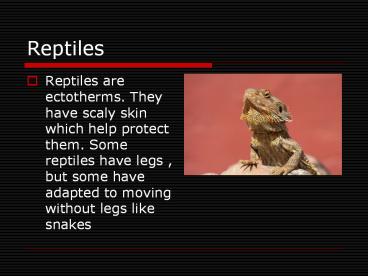 Reptiles