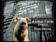 Animal Farm PowerPoint PPT Presentation