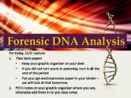 Forensic DNA Analysis