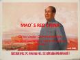 MAO PowerPoint PPT Presentation