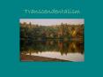 Transcendentalism PowerPoint PPT Presentation
