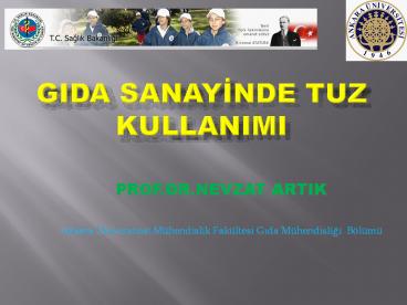 GIDA SANAYINDE TUZ KULLANIMI