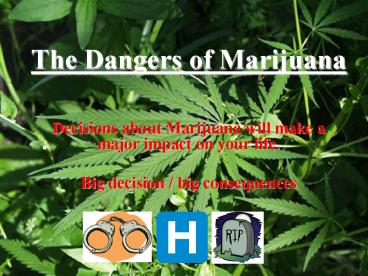 The Dangers of Marijuana