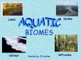 BIOMES PowerPoint PPT Presentation