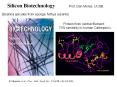Silicon Biotechnology PowerPoint PPT Presentation