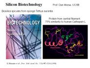 Silicon Biotechnology