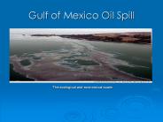 Gulf of Mexico Oil Spill