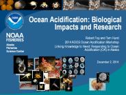 Ocean Acidification: Biological Impacts and Research