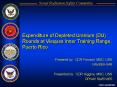 Expenditure of Depleted Uranium (DU) Rounds at Vieques Inner Training Range, Puerto Rico PowerPoint PPT Presentation