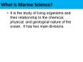 What is Marine Science? PowerPoint PPT Presentation