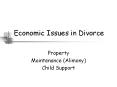 Economic Issues in Divorce PowerPoint PPT Presentation