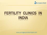 Fertility  Clinics  in India (1)
