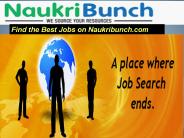 NaukriBunch | Latest Jobs Chandigarh, Mohali, Panchkula