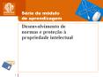 Desenvolvimento de normas e prote PowerPoint PPT Presentation