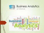 SA Technologies - Business Analytic Services