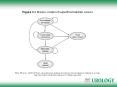 Elkin EB et al. (2006) Primer: using decision analysis to improve clinical decision making in urology PowerPoint PPT Presentation