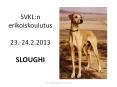 SVKL:n erikoiskoulutus 23.-24.2.2013 SLOUGHI PowerPoint PPT Presentation