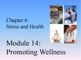 Chapter 6: Stress and Health Module 14: Promoting Wellness PowerPoint PPT Presentation