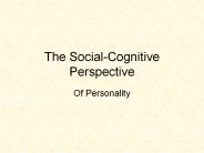 The Social-Cognitive Perspective