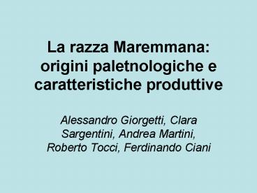 La razza Maremmana: origini paletnologiche e caratteristiche produttive