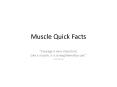 Muscle Quick Facts PowerPoint PPT Presentation