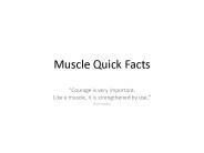 Muscle Quick Facts