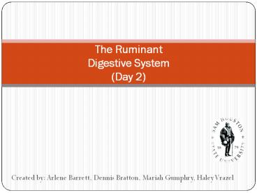 The Ruminant Digestive System (Day 2)