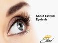 About Extend Eyelash PowerPoint PPT Presentation