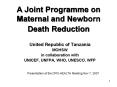 A Joint Programme on Maternal and Newborn Death Reduction PowerPoint PPT Presentation