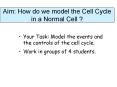 Aim: How do we model the Cell Cycle in a Normal Cell ? PowerPoint PPT Presentation