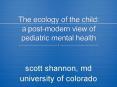 The ecology of the child: a post-modern view of pediatric mental health PowerPoint PPT Presentation
