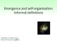 Emergence and self-organisation: Informal definitions PowerPoint PPT Presentation