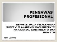 PENGAWAS PROFESIONAL
