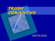 TEJIDO CONJUNTIVO