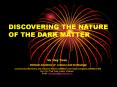 DISCOVERING THE NATURE OF THE DARK MATTER PowerPoint PPT Presentation