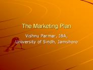 The Marketing Plan