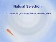 Natural Selection PowerPoint PPT Presentation