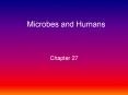 Microbes and Humans PowerPoint PPT Presentation