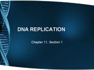 DNA REPLICATION