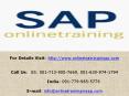 SAP BI (Business Intelligence) Online Training and Placement PowerPoint PPT Presentation