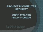 Project in Computer Security OSPF Attacks Project Summary