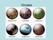 Viruses