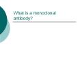 What is a monoclonal antibody? PowerPoint PPT Presentation