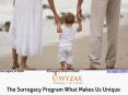 surrogacy clinics in Delhi PowerPoint PPT Presentation