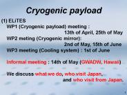 Cryogenic payload