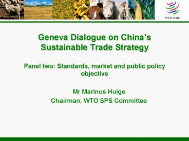 Geneva Dialogue on China