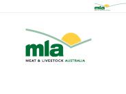 The meat consumer of 2020
