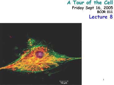 A%20Tour%20of%20the%20Cell